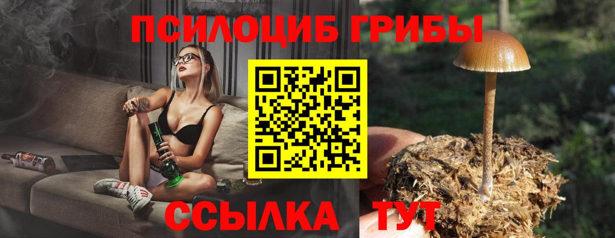 Саров  Псилоцибиновые грибы мухоморы  Вход с VPN 
