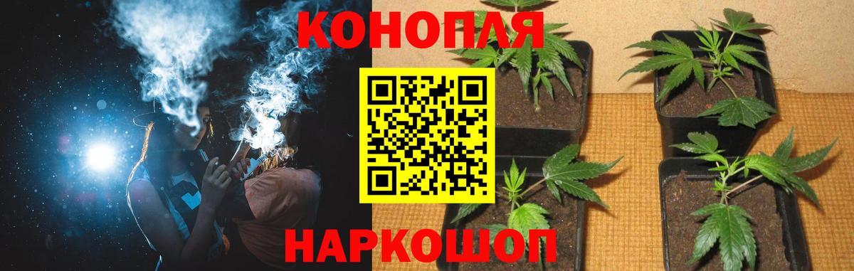 Шишки марихуана сатива  Вход с VPN  Саров  Канабис AK-47 